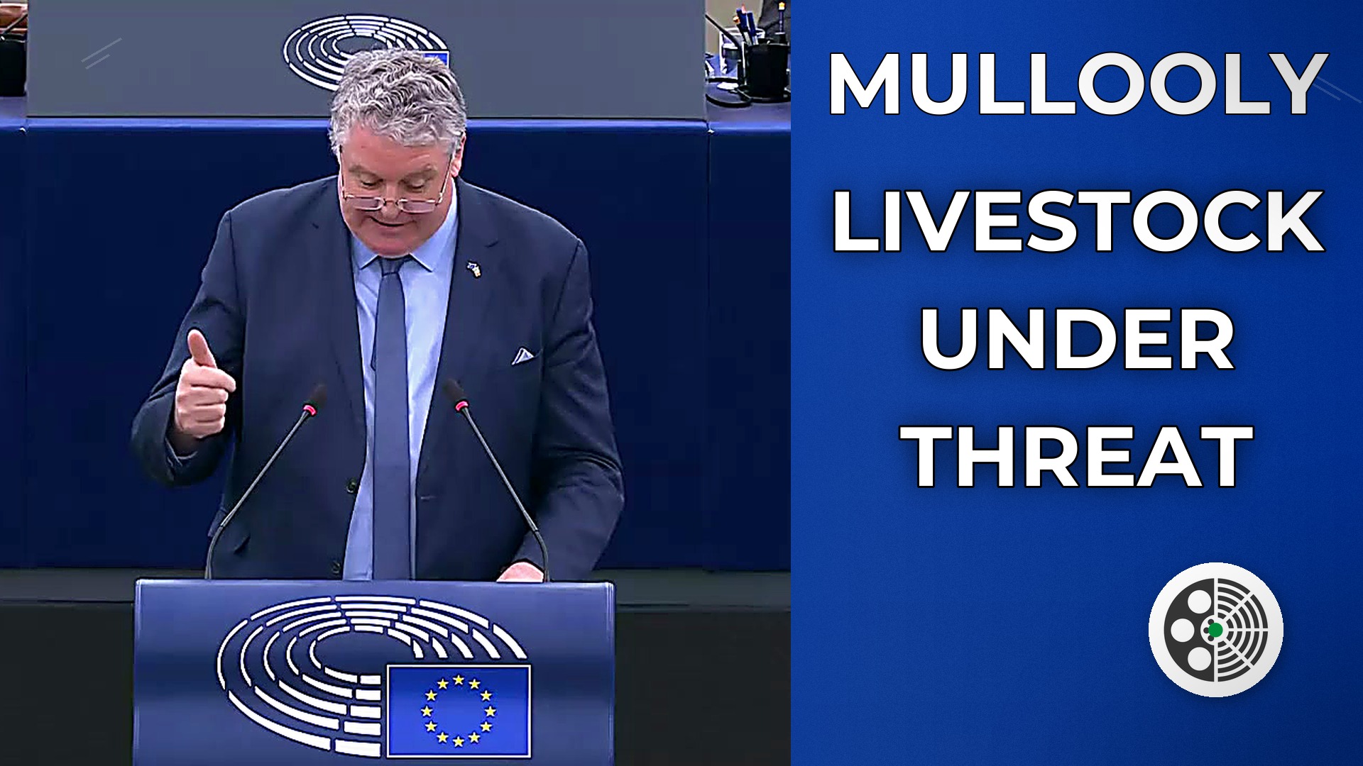 Ciarán Mullooly: EU Livestock Decline and Trade Risks
