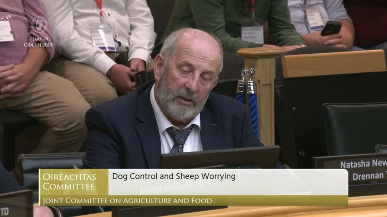 Danny Healy-Rae urges single authority for dog control on farms