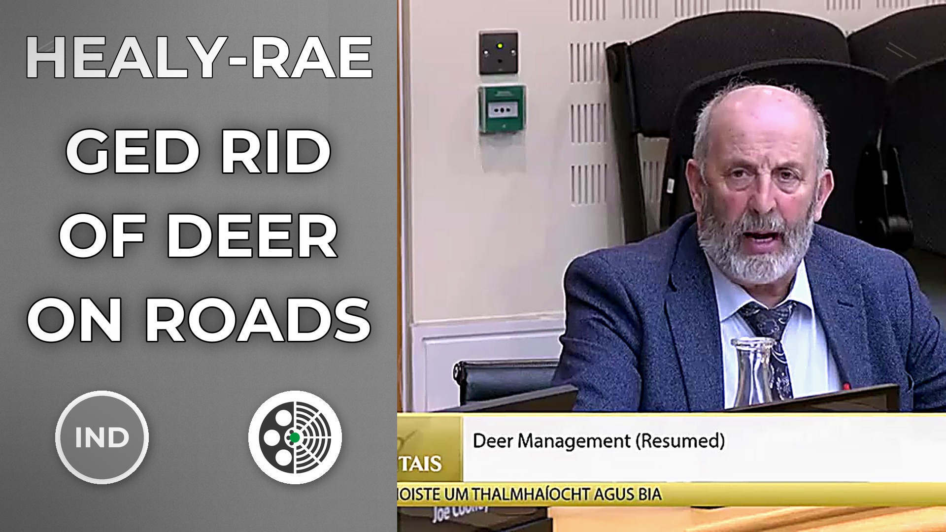 Danny Healy-Rae demands urgent deer cull in Kerry