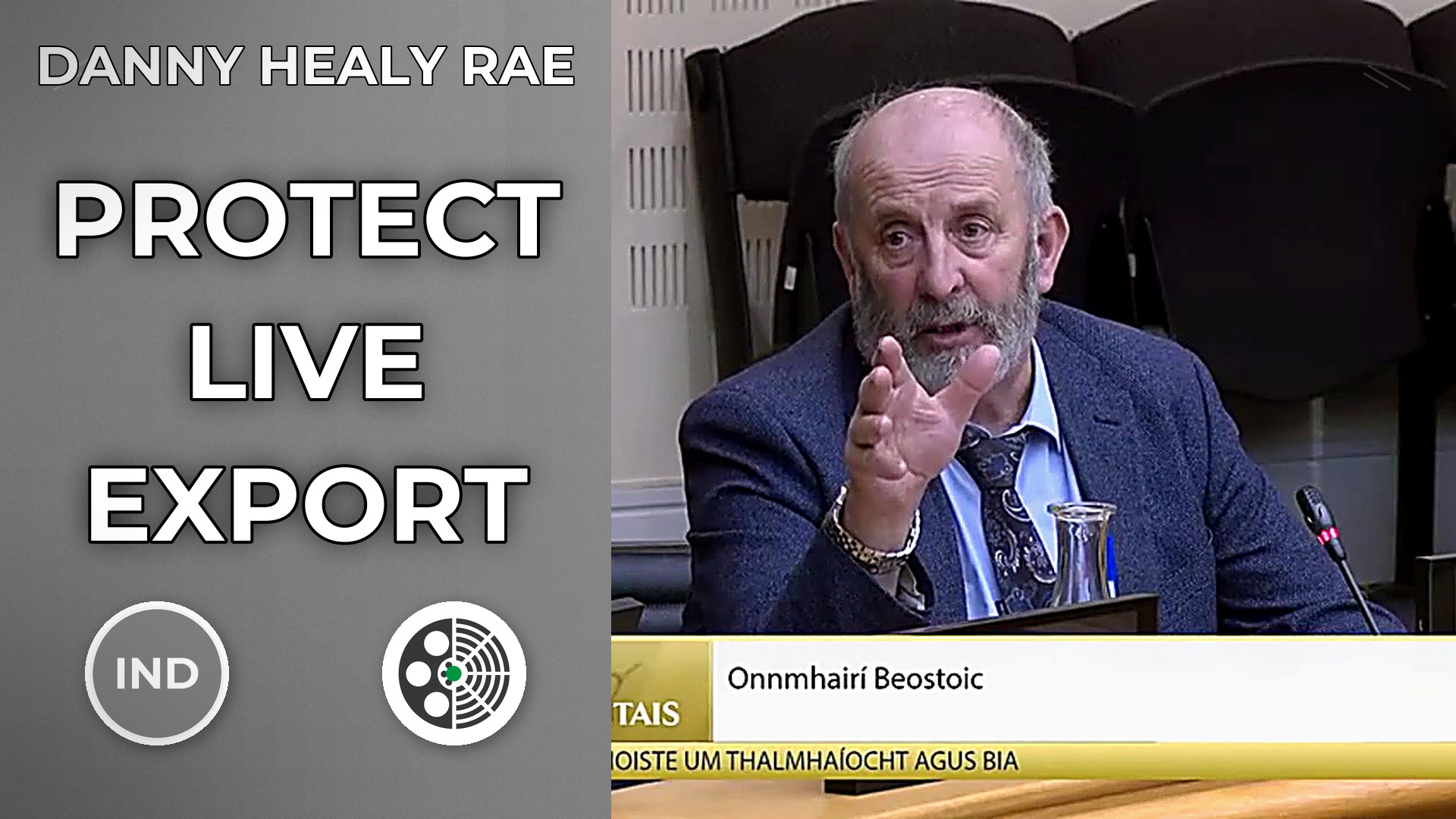 Danny Healy-Rae: Live Export Is Vital for Farmers