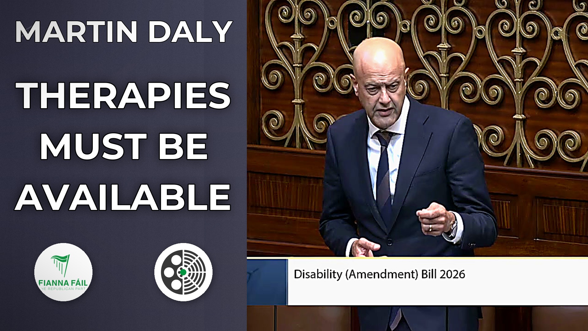 Martin Daly backs Disability Act amendment but warns on capacity