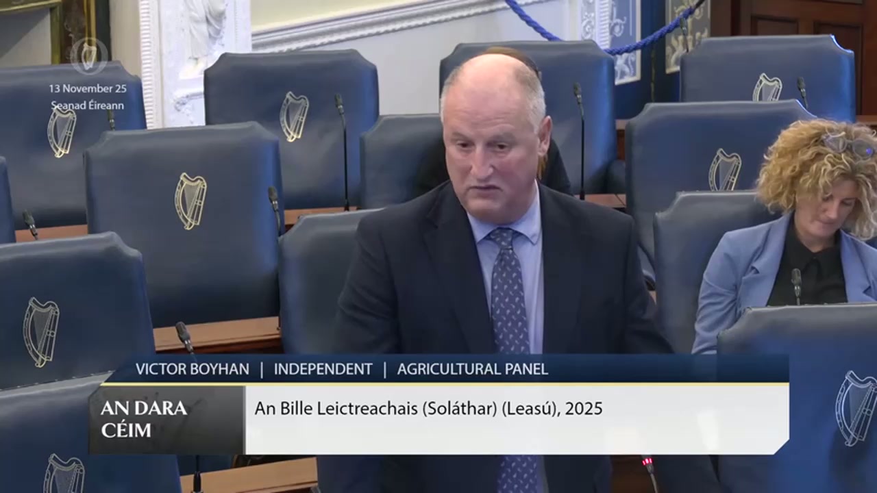 Victor Boyhan: Flags ESB Bill risks for households and forestry